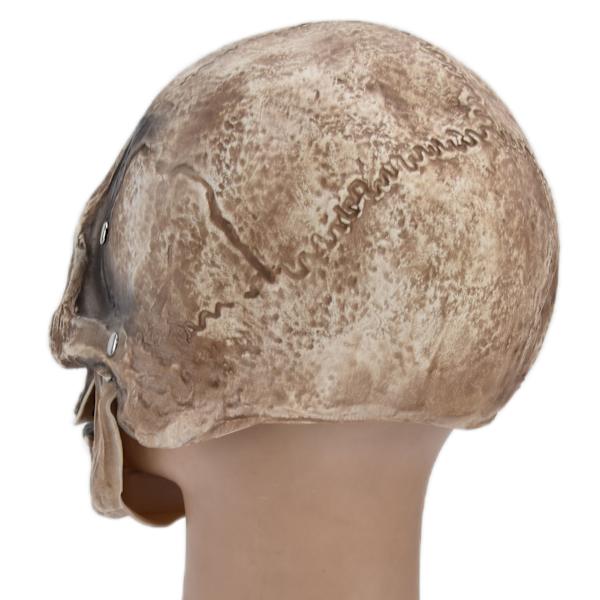 Halloween Dödskalle Mask Full Head Cosplay Fest Mask för Jul Påsk NyårsfestivalGul