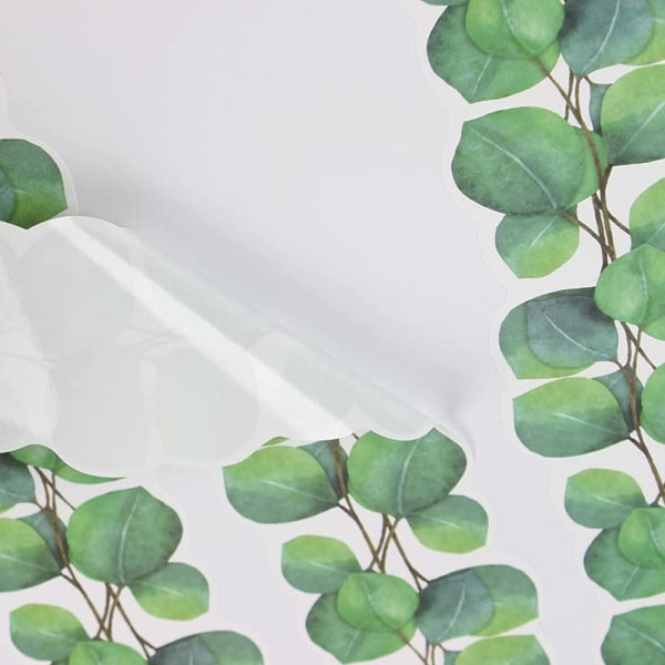 Klassrums anslagstavla kanter 65,6 fot Eucalyptus Leaf