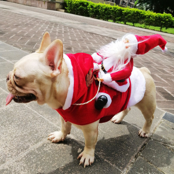Jultomtens riddräkt för husdjur: Festlig utklädning för husdjur