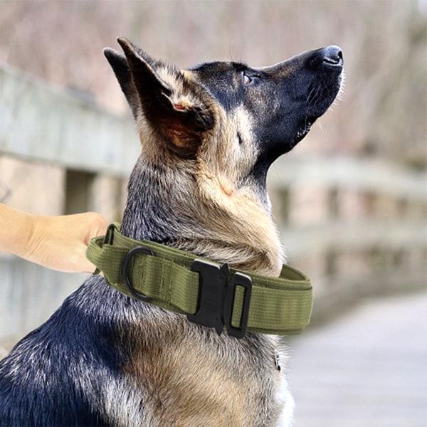 Taktisk hundhalsband Militärhundhalsband Justerbar hund i nylon