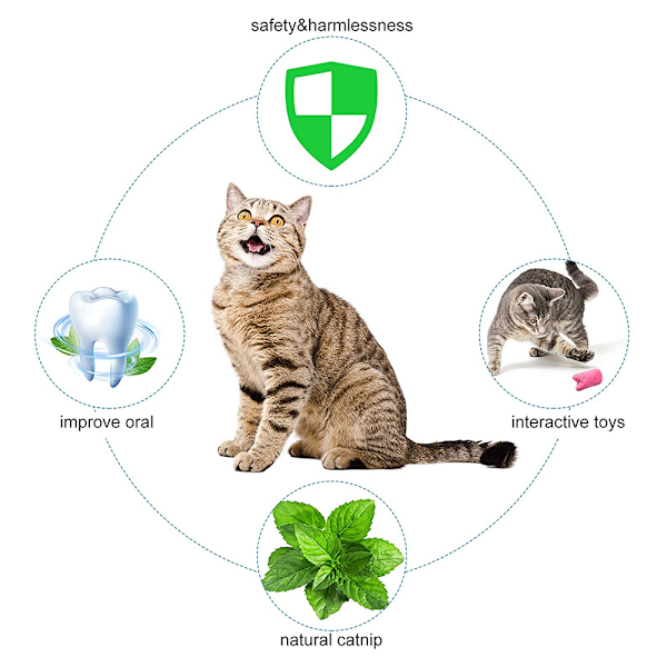 3 stycken interaktiva mjuka plysch kattmyntaleksaker katt tuggleksak tecknad film uttryck katt kuddleksaker för katt kattunge tand rengöring lek