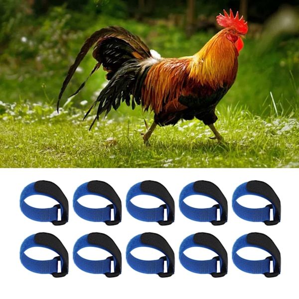 Anti-Hook Cock Collar med kardborrebanddesign Ljudlös Halsband Krage Husdjur Kycklingtillbehör Blå Uppdaterad Version