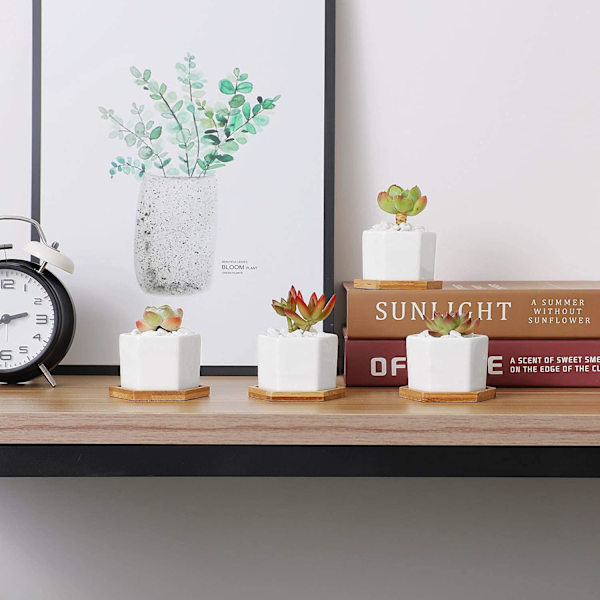 Små vita suckulenta planteringskrukor med bambu bricka hexagon set om 4, geometrisk kaktus växt hållare behållare för hem kontor bord dekoration