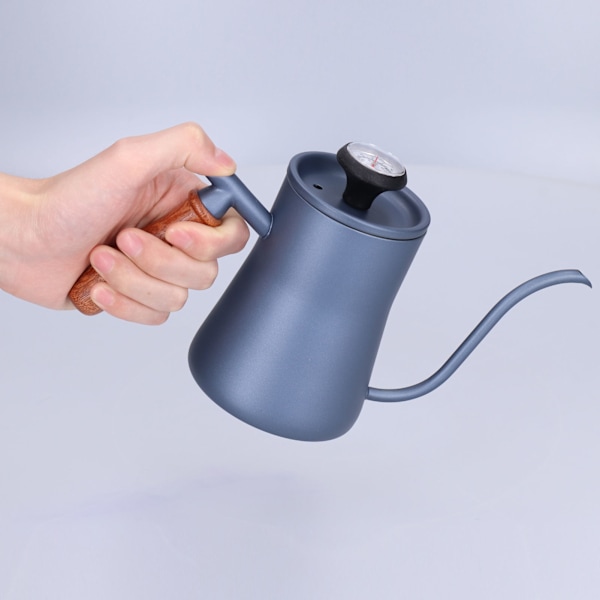 550 ml Gåskrankaffekanna Häll över kaffebryggare med termometerfilter