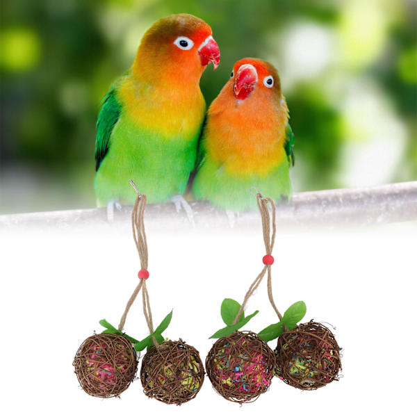 2 st fågel tuggleksak ångestlindring interaktivt roligt papegoja foder sönderdelare leksak för parakiter undulater conures