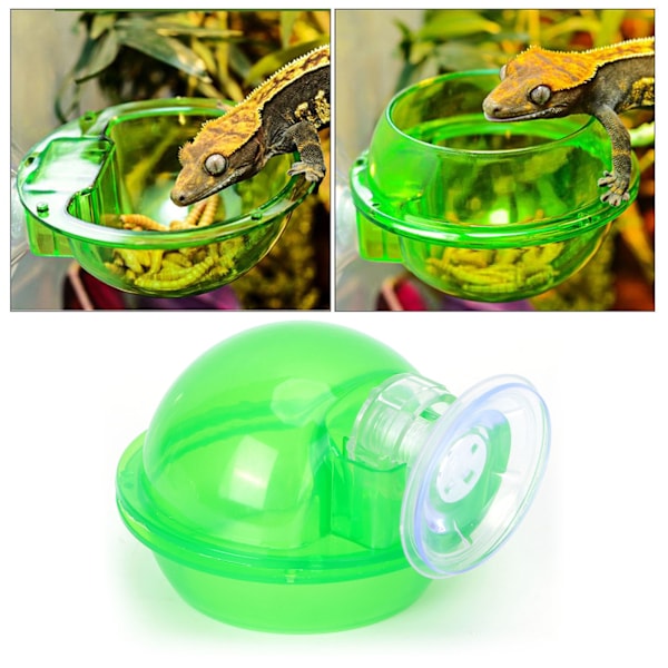 Sugkopp Reptil Matare Genomskinlig Vattenlevande Plantskola Bassäng för Amfibie Reptil Sköldpadda Gecko Orm Ödla