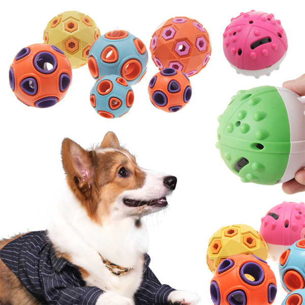 Hundar gnager leksaksbollar, tränar anemonbollar och hundar retar leksaker