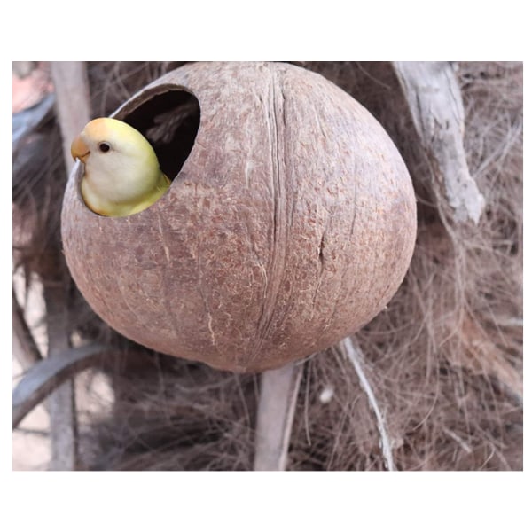 100 % naturlig kokosnötsgömställe med stege, fågel- och smådjursleksak, kokosnötsfågelbo, naturliga kokosnötskal fågelbohus$ kokosnötsfågelhus med