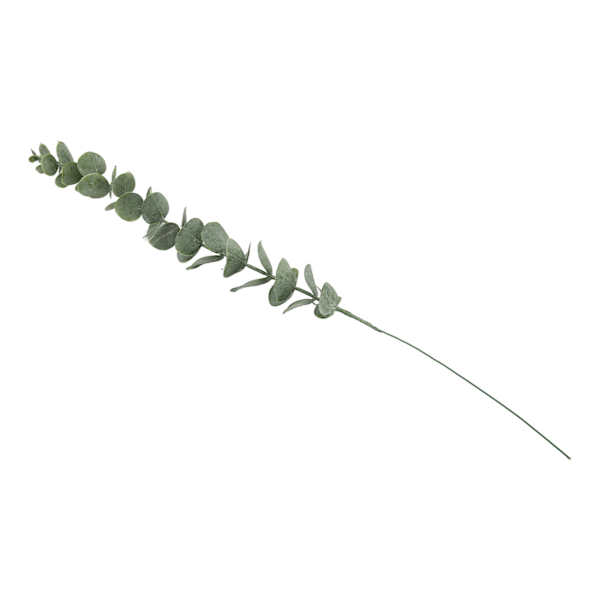36 stjälkar eukalyptusstammar naturtrogna konstgjorda gröna eukalyptusblad stammar 14,1 tum falsk eukalyptus för bröllopsbukett heminredning