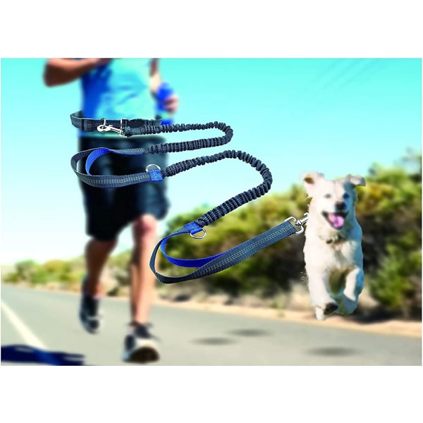 Handfritt hundkoppel, med justerbart midjebälte för jogging