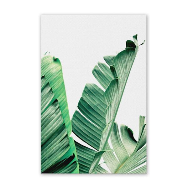 3 st bananblad canvas väggkonst målning modern stil tryckt bild hemmakontor dekoration