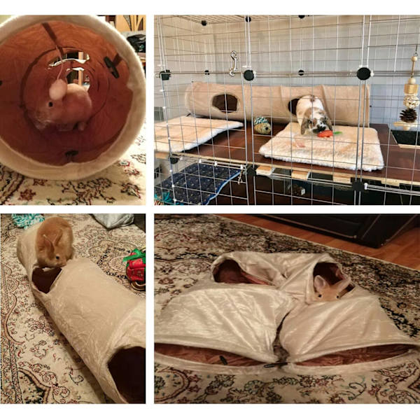 Hopfällbar kattunnel prasslande tunnel lektunnel 120cm katt leksakstunnel med plyschboll