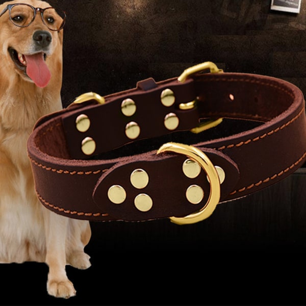 Hundhalsband Läder - mjukt tillverkat av äkta Latigo-läder