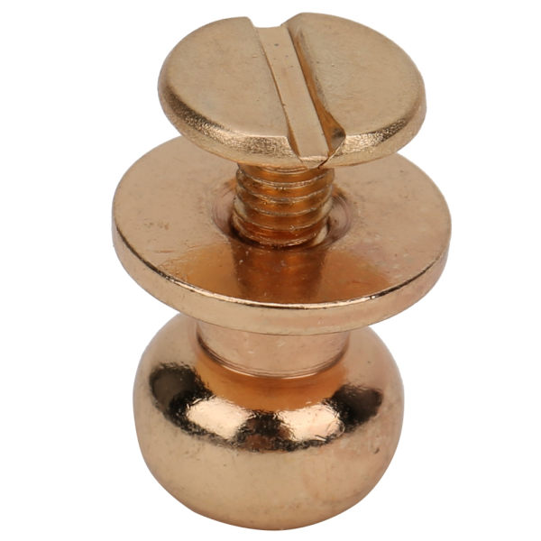 20 set kopparrunda huvudstift nitar skruvback DIY läderhantverk nitar 10 x 8mm guld