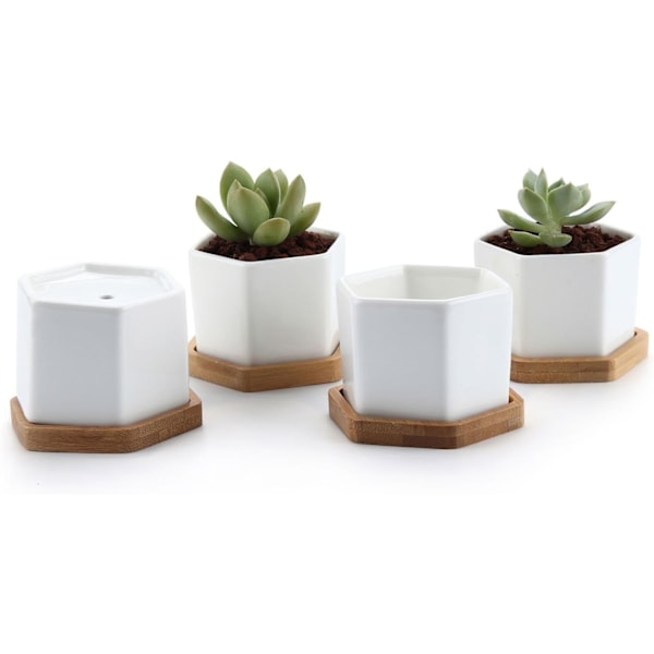 Små vita suckulenta planteringskrukor med bambu bricka hexagon set om 4, geometrisk kaktus växt hållare behållare för hem kontor bord dekoration