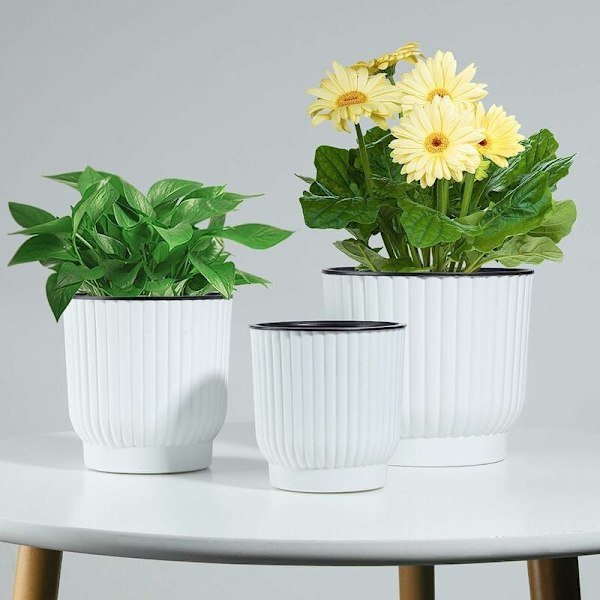 Moderna Plastblomkrukor, Självbevattning Säkerställer Hälsosam Rottillväxt För Små Växter, Transparent Bas För Enkel Vattenövervakning, Andningsbar