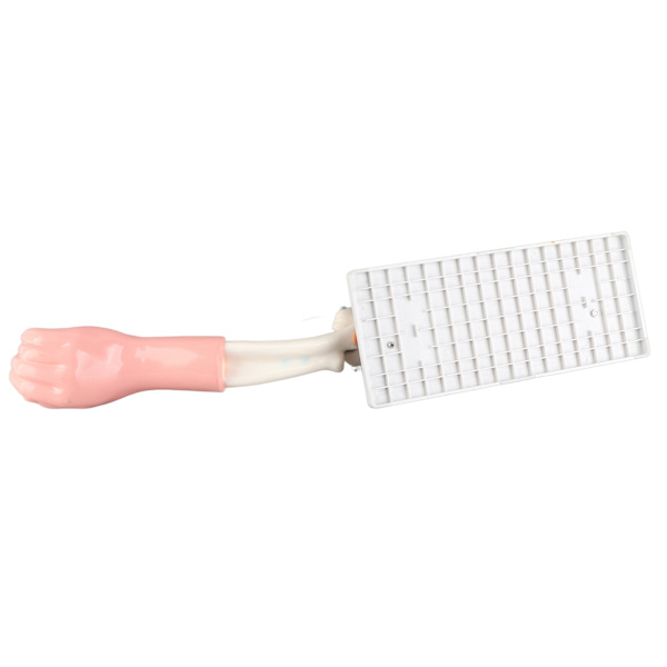 Arm Moving Model Anatomical Elbow Joint Motion Model Primary School Teaching Accessory