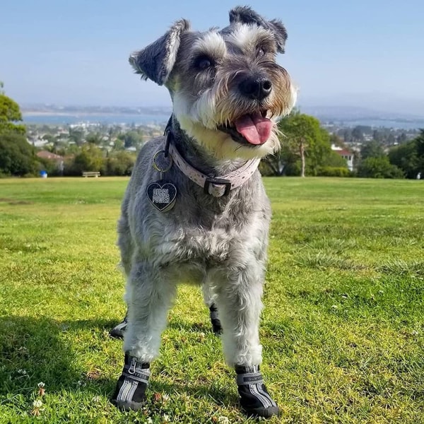 Dog Boots Paw Protector, Anti-Slip Andas Hund Skor för