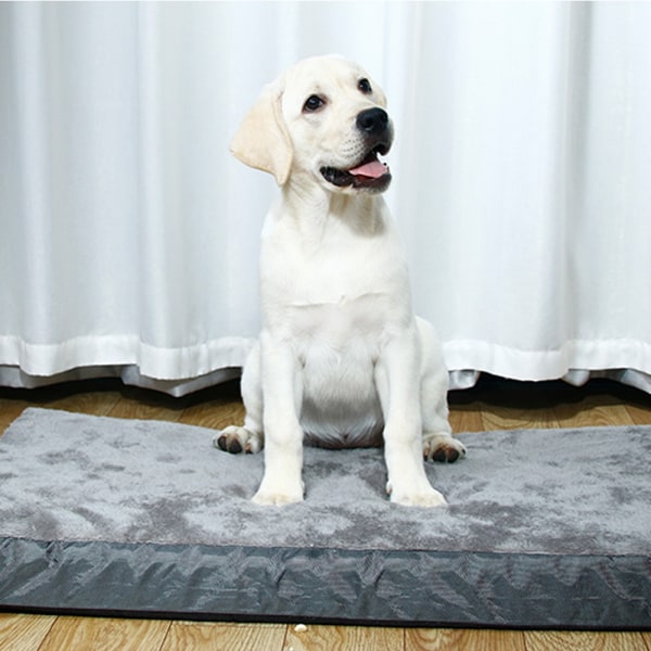 Hundsäng Plysch mjuk husdjurssäng med avtagbart tvättbart cover