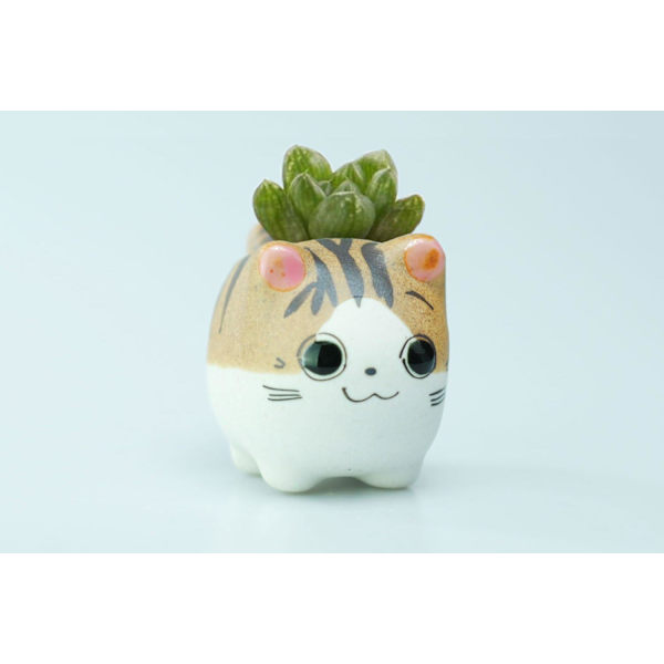 Original Design Handgjorda Mini Söta Tecknade Keramik Succulent Krukor Planteringskärl Katt, med Dräneringshål, Blomkruka, Keramiska Prydnader Kattgåvor för Katt