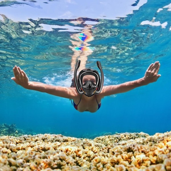 Snorkelglasögon Dubbla Rör Silikon Helt Torra Dykglasögon Simglasögon Dykglasögon Undervattensandningsapparat