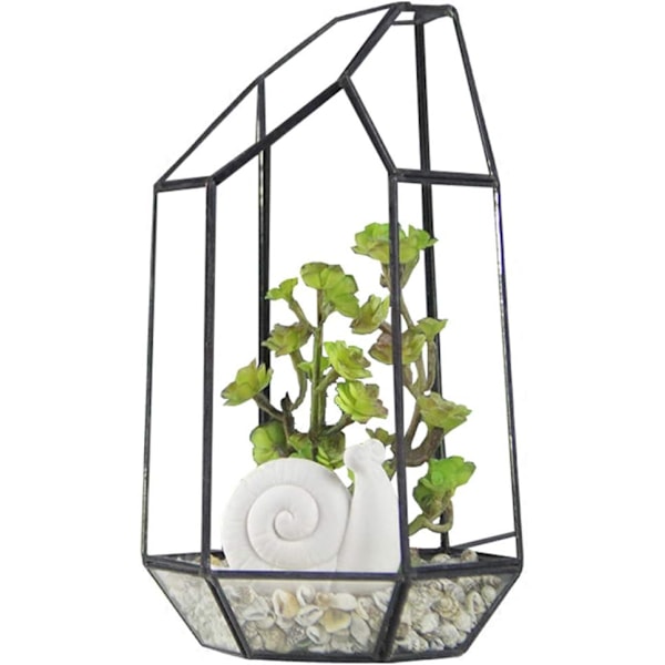 5,5 tum glas geometrisk terrarium oregelbunden geometrisk klar glas planter suckulent hållare blomkruka luftväxter hållare fönster (inga växter)