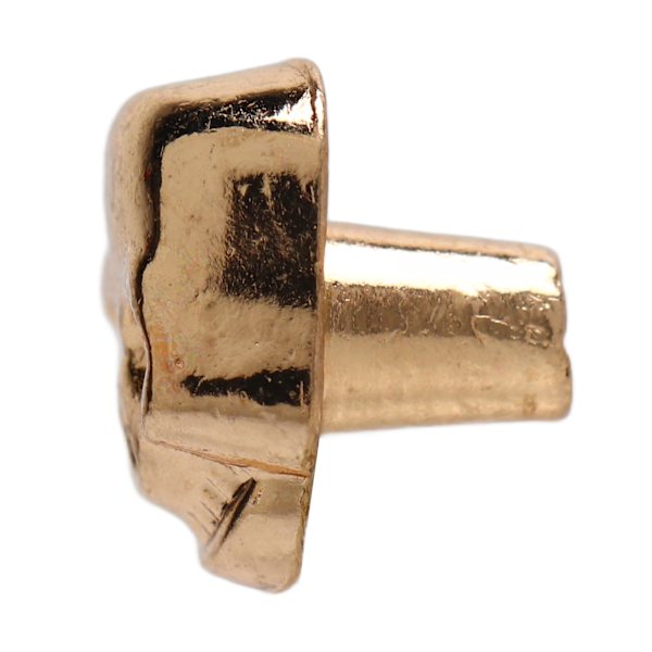 200 set nitar med dödskalle, gotisk stil, vackra och fashionabla dödskallenitar, accessoarer för gör-det-själv-skor, kläder och väskor, guld