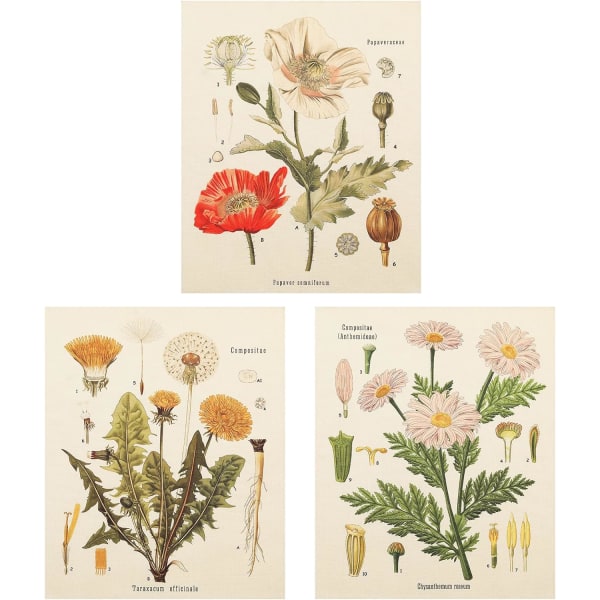 3 st blommor gobeläng väggbonad - vilda blommor växt blommor gobeläng identifiering referens diagram liten gobeläng för sovrum vardagsrum (gobeläng