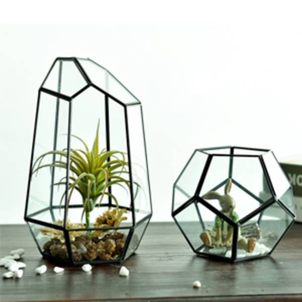 5,5 tum glas geometrisk terrarium oregelbunden geometrisk klar glas planter suckulent hållare blomkruka luftväxter hållare fönster (inga växter)