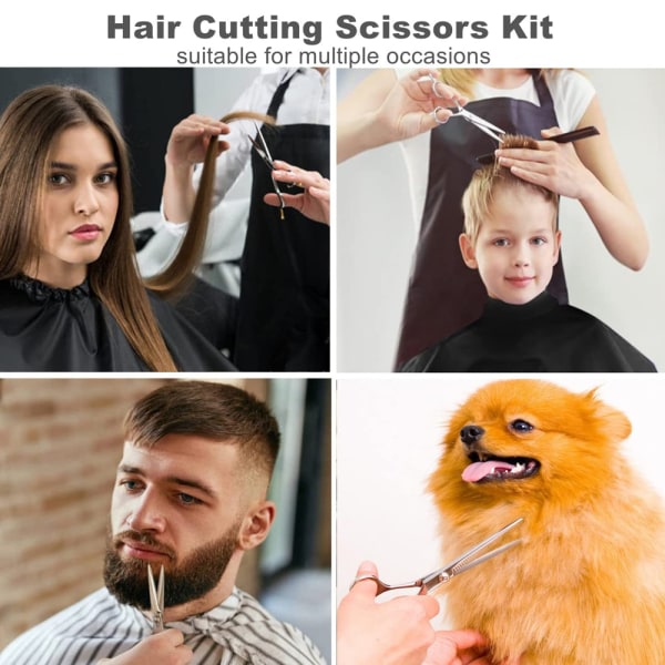 Hårklippningssaxset, 11 delar professionellt hårklippningsset, för frisör och hem