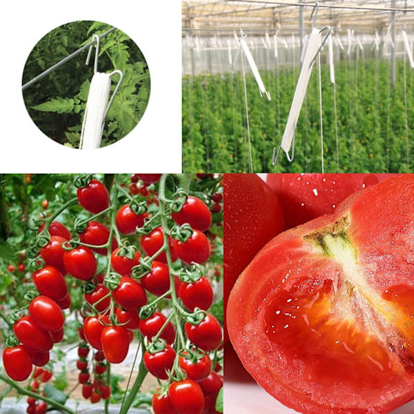 Tomatstöd krok tomat krok metall tomat rep tomat krok tomat stöd dragkrok för växttillväxt 10M（6 stycken）