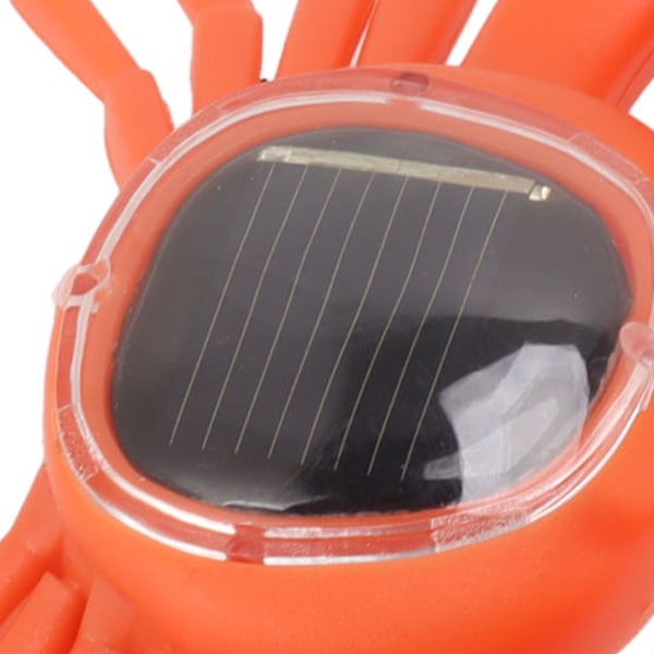 Solcells driven krabba leksak realistisk simulering undervisning lärande sol krabba modell leksak för barn