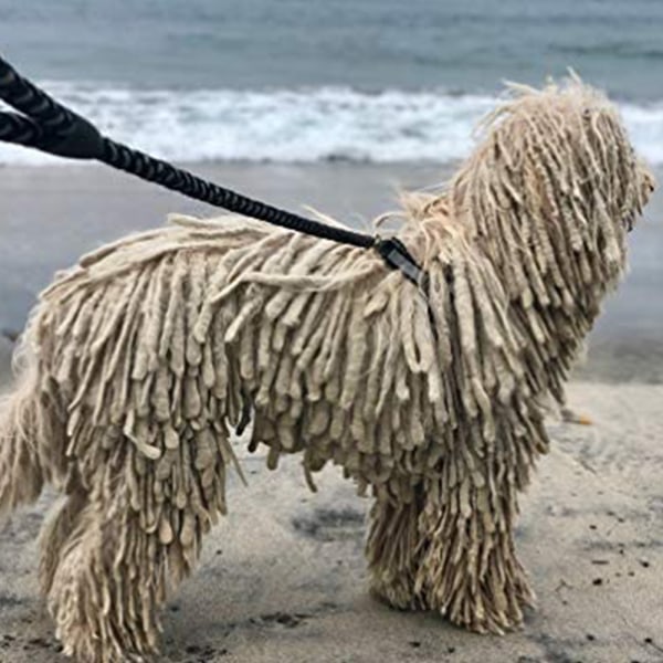 Hundkoppel Reflekterande repkoppel för och små hundar som springer