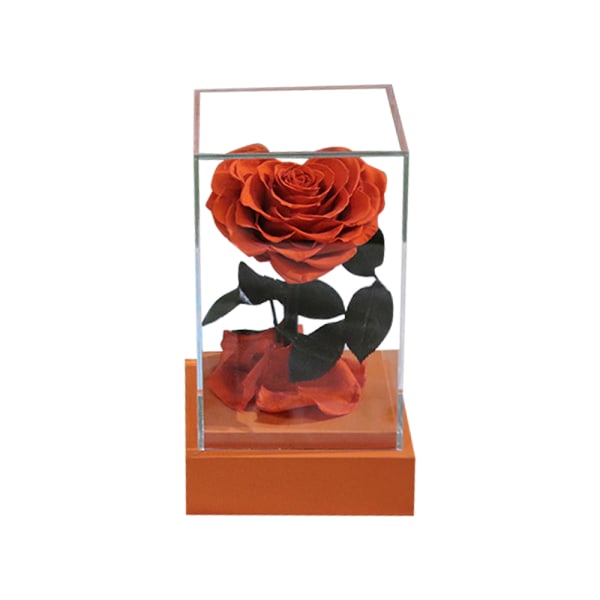 Bevarad äkta evig hjärtformad ros i transparent akryl