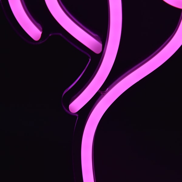 LED-neonljus i form av en dam, USB-driven, väggdekorativ lampa för sovrum, butik, bar, fest, bröllop
