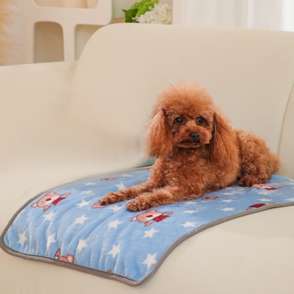 Avtagbar tvättbar husdjursmatta för att förhindra hund liggunderlag och