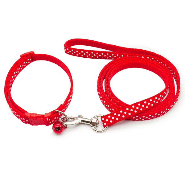 Pet halsband hund koppel kostym katt koppel utomhus hund promenader sport