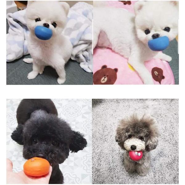 Leksakshund med leende ansikte, mjuka latex-pipbollar för valpar, små och medelstora hundar, 6 st/set$Hund leksak, pipande hund leksaker tugga hållbar tandvård latex