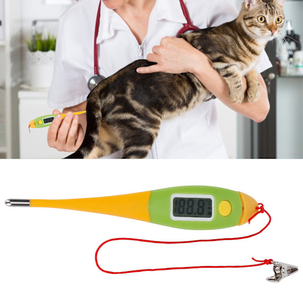 Digital elektronisk LCD-skärm djurtermometer husdjurskroppstemperatur mätverktyg
