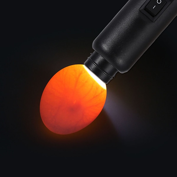 Högintensiv cool LED-ljus dubbel kraft äggkandlare testare nät- eller batteridriven (EU100-240)