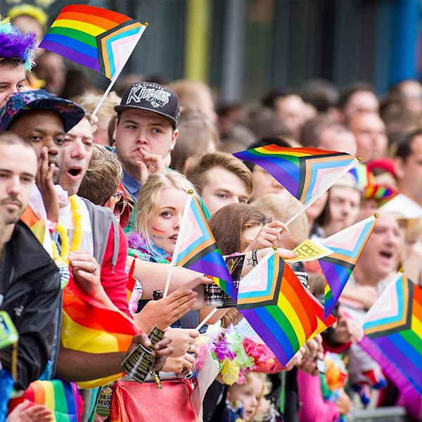 Dekorativa Pride-partyflaggor, återanvändbara Pride-flaggor för parader, fester, bordsdekorationer, 50-pack, hög synlighet