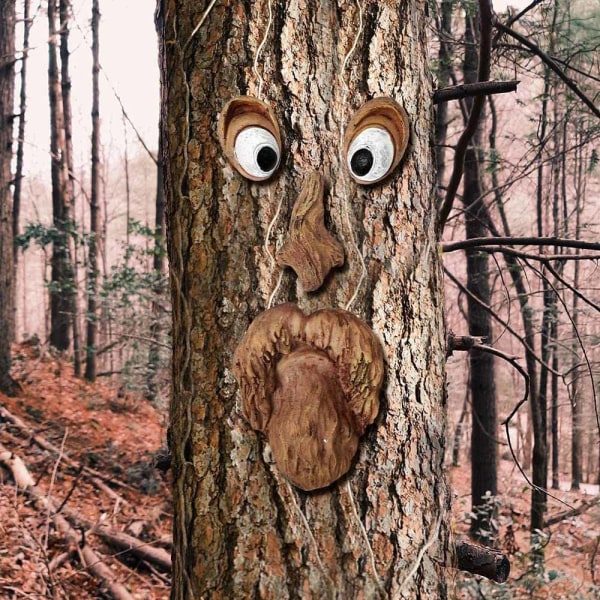 Träd ansikte utomhus staty gammal man träd kramar bark grimas