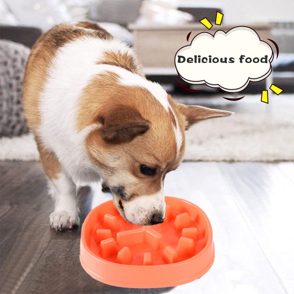 Slow Feeder Small Dog Bowls Non-Slip Feeder Interactive Bloat
