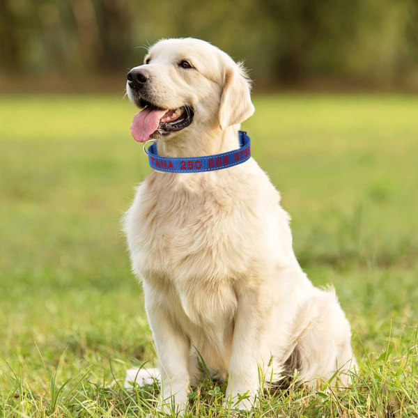 Anpassat personligt hund-ID-halsband broderat husdjursnamn