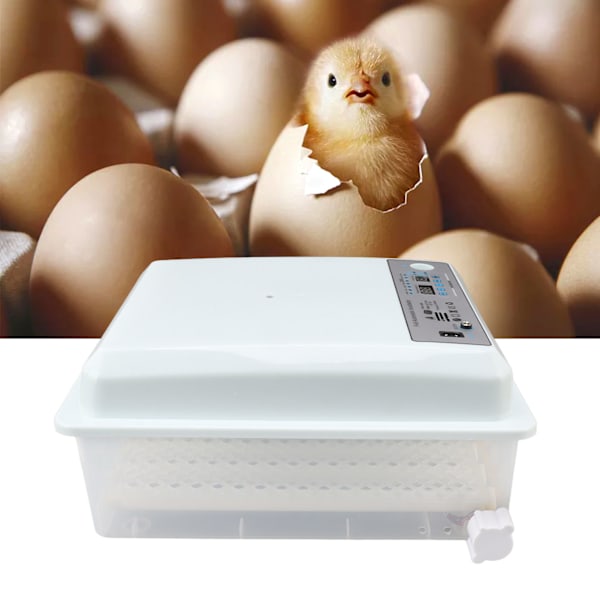 Automatisk äggkläckningsmaskin 24 ägg Digital fjäderfäkläckningsmaskin Temperaturkontroll Automatisk vändning Kläckningsmaskin för hemmagård EU-kontakt 220V