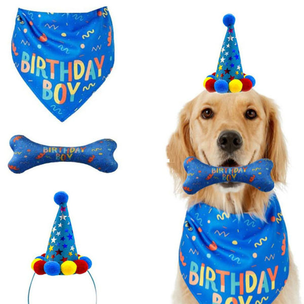 Pet hund saliv handduk födelsedag hatt hund ben leksak pull flagga set blue  2d07 | blue | Fyndiq