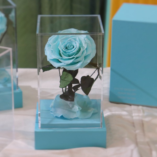 Bevarad Real Eternal Rose i transparent akryl för henne
