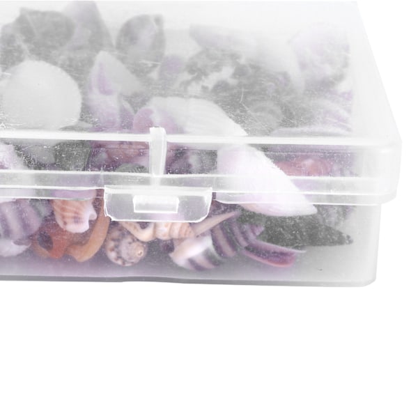 Smyckeshantverk DIY Snäcksjösnigel Set Naturligt Snäckskal Conch Bröllop Heminredning