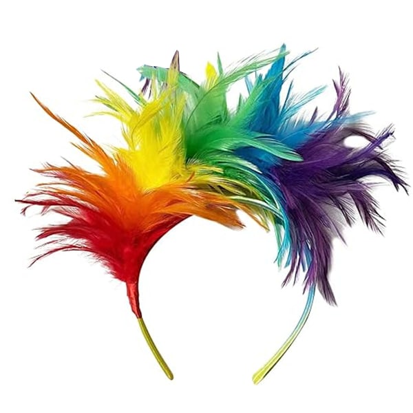 Dilunave Färgglad Fjäder Hårband Fascinator Hårband Cosplay Hårband Karneval Fest Hårprydnad Regnbåge Fjäder Hårband Fjäder Huvudbonad Kostym