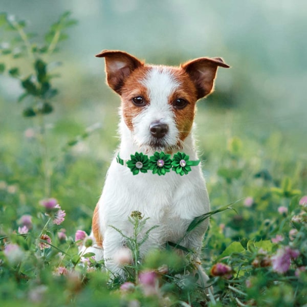 10 st Hundfluga Hundblomhalsband Diamant Hundtillbehör Pet